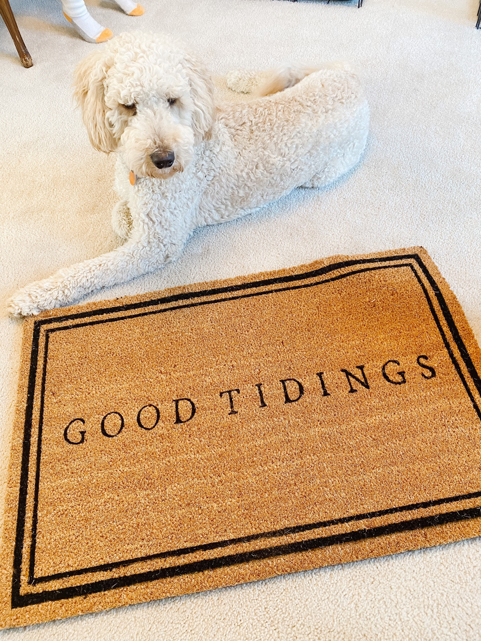 New Christmas doormat from Hearth and Hand at Target! Still in stock. I got the larger size  

#LTKSeasonal #LTKhome #LTKHoliday