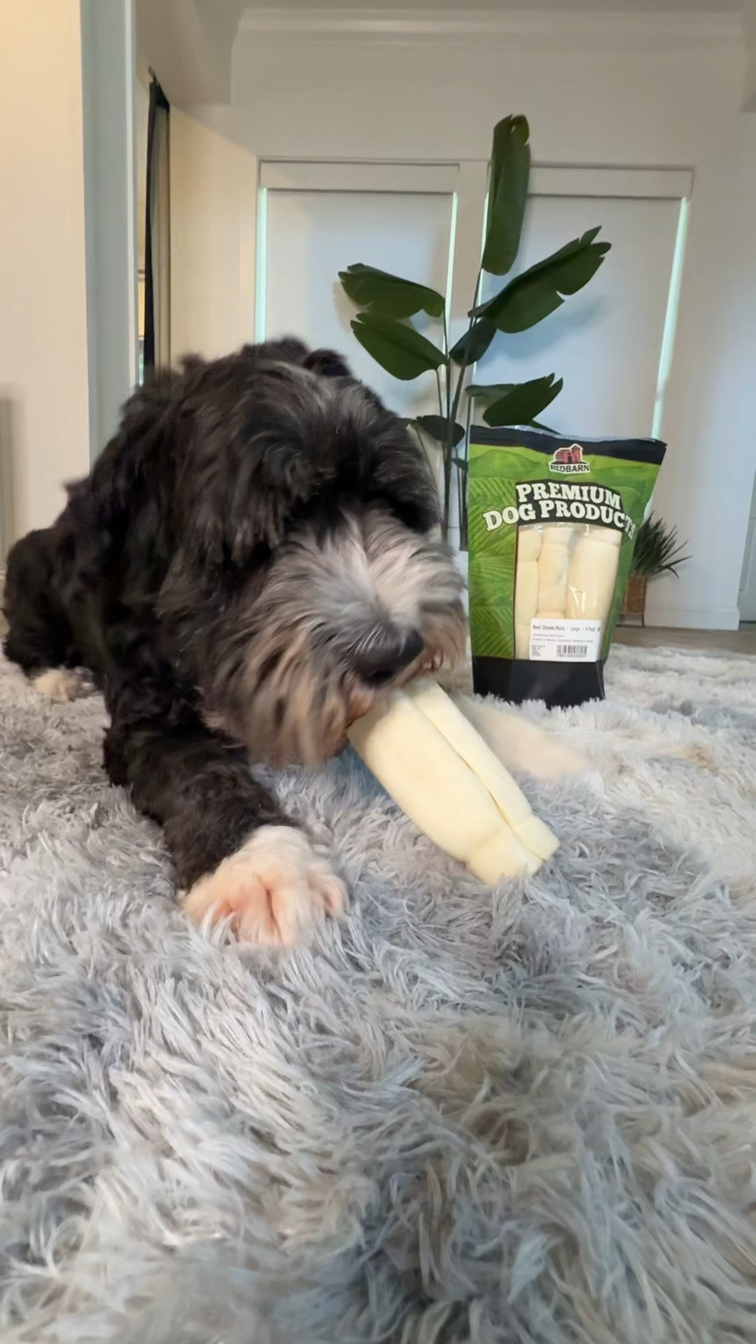 My dogs new favorite treat. He’s been chewing on this for a week now, and he’s nowhere near finished with it yet. These treats last so long. ￼