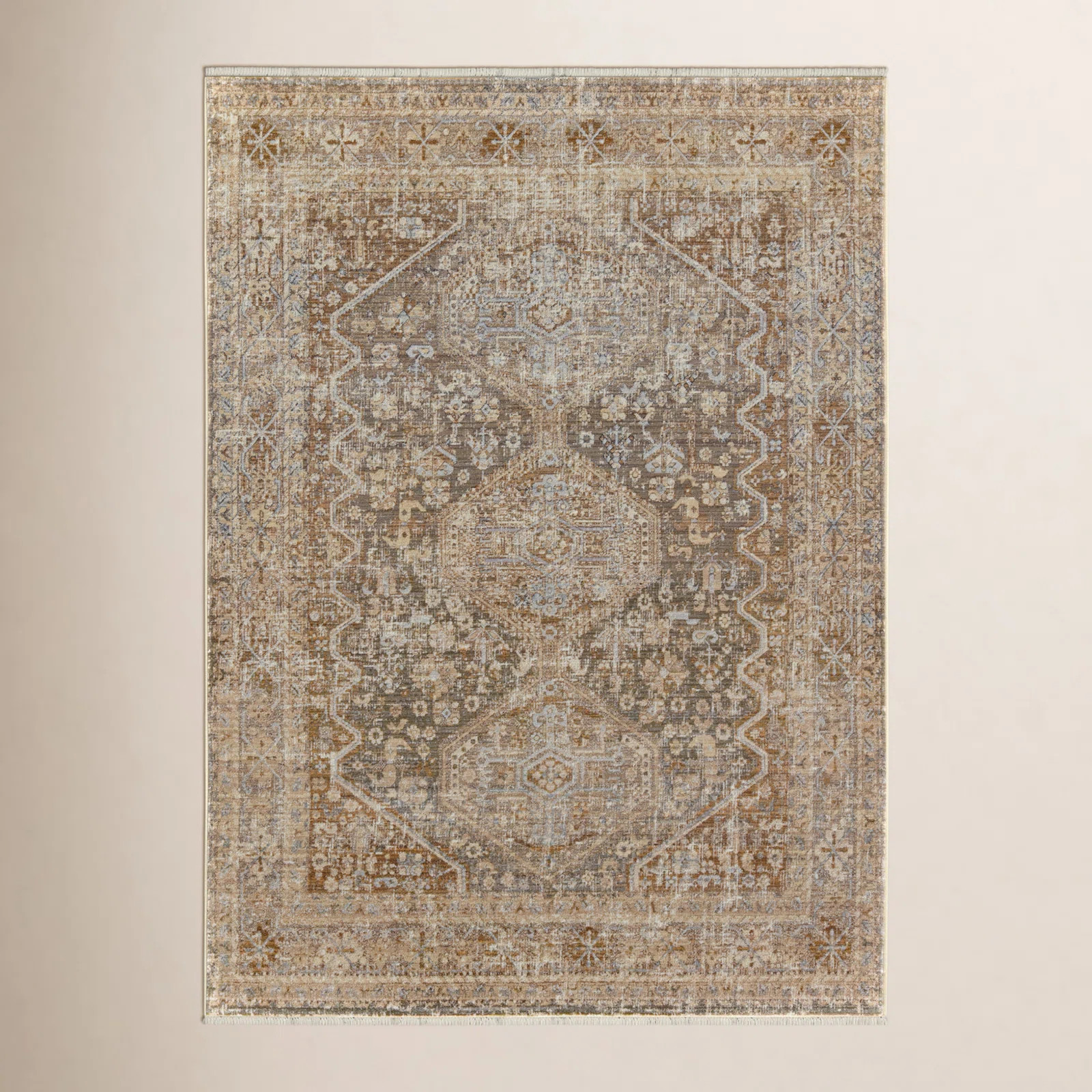 Clemente Oriental Indoor Rug | Wayfair North America