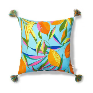 Citrus Outdoor Throw Pillow - Tabitha Brown for Target | Target