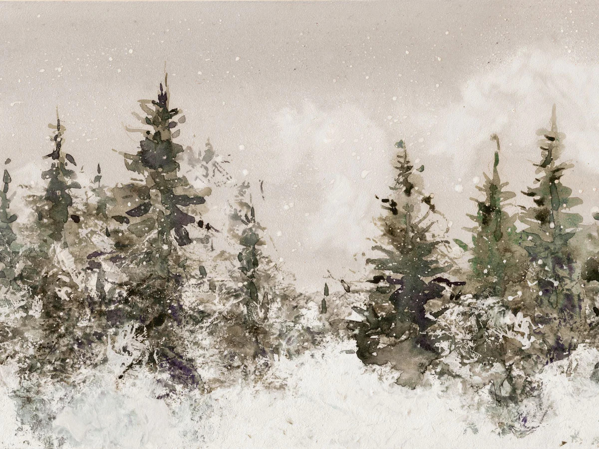 Snow Covered Pines | Collection Prints