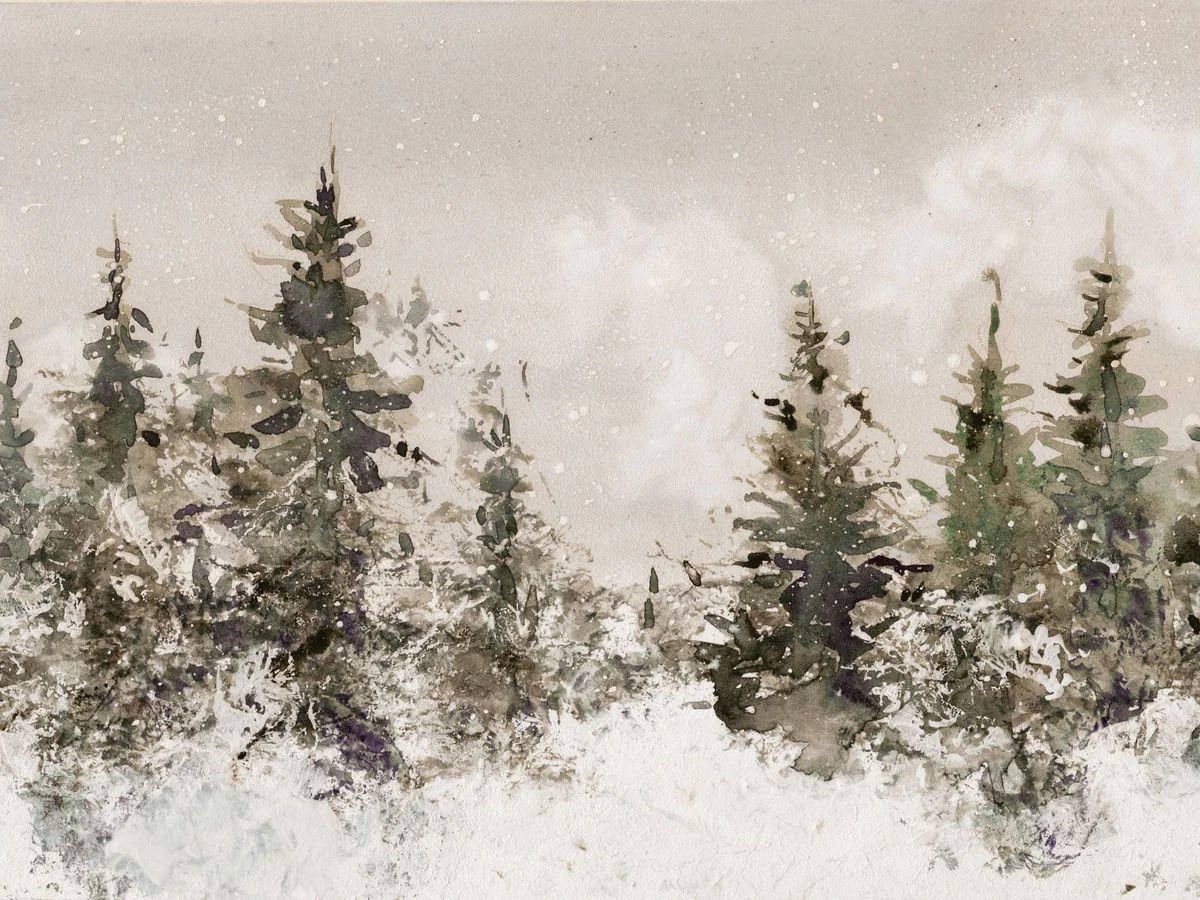 Snow Covered Pines | Collection Prints