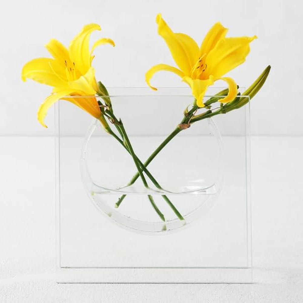 Z Gallerie Solaris Modern Abstract Home Decor Flower Vase - Unique Minimalist Room Decor Elliptic... | Amazon (US)