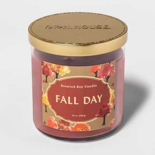 15.1oz Lidded Glass Jar 2-Wick Fall Day Candle - Opalhouse™ | Target
