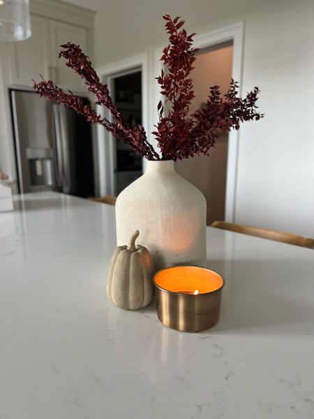 Adding touches of fall around my home brings me so much joy! I love these pieces that I added to our collection this year. Sarah Kelly Style, home decor, fall decor

#LTKhome #LTKstyletip #LTKSeasonal