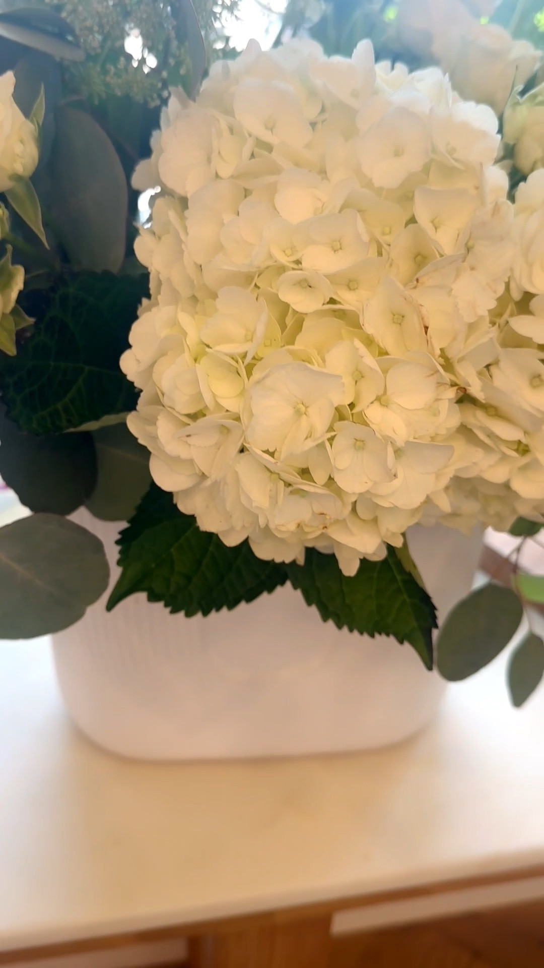 Imagine waking up to an elegant arrangement of white hydrangeas and roses—soft, timeless, and effortlessly beautiful. A lovely reminder that the right flowers can brighten your home, lift your mood, and bring a beautiful energy to the start of a new week. 🤍

#HomeDecor #HomeAccent #FlowerArrangement #Hydrangea #WhiteRoses #FloralDecor #ElegantHome #InteriorInspiration

#LTKdayinmylife