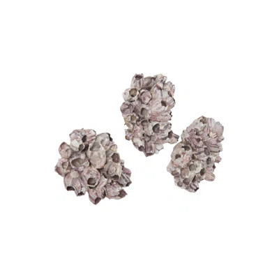 Barnacle 3 Piece Wall Décor Set | Wayfair North America