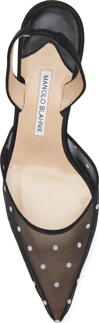 Manolo Blahnik Carolyne Polka Dot Pointed Toe Slingback Pump (Women) | Nordstrom | Nordstrom