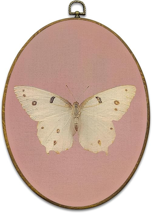 Mcehtle Vintage Butterfly Pink Wall Art Decor, Retro Cottagecore Butterfly Oval Framed Canvas Pri... | Amazon (US)