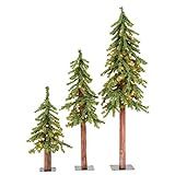 Vickerman 2' 3' 4' Natural Alpine Artificial Christmas Tree Set, Clear Incandescent Lights - Faux... | Amazon (US)