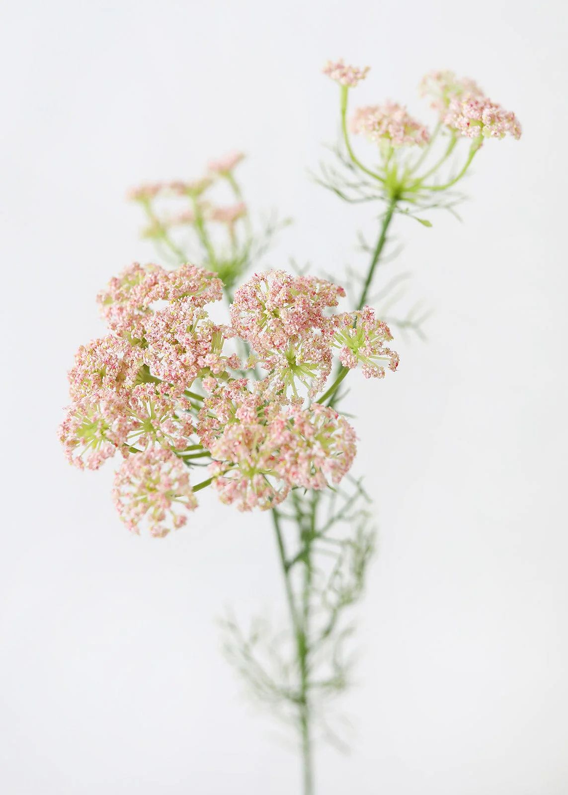 Faux Dill Wildflowers in Pink - 35" | Afloral (US)