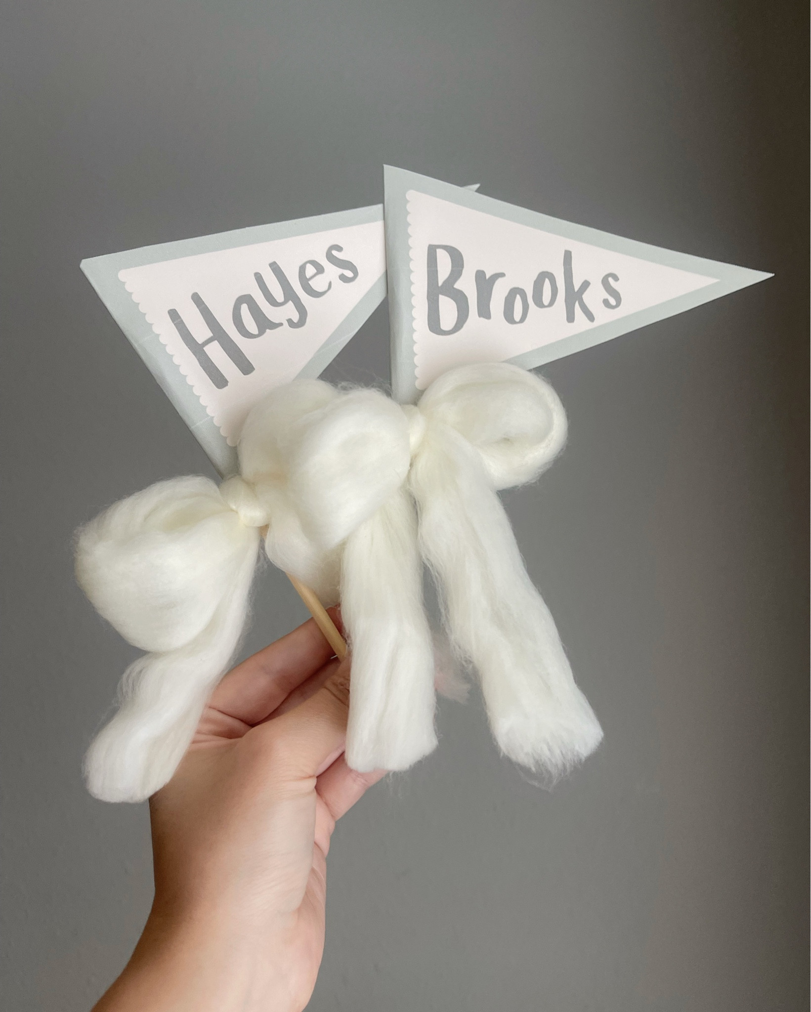 Personalized Name Pennants / Birthday Party Favors / One Silly Goose Birthday Party Favors

#namepennant #partyfavors #onesillygoose #birthdaypartyfavors #kidsbirthday #etsy #firstbirthday

#LTKParties #LTKKids #LTKGiftGuide