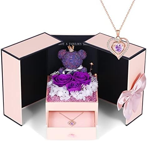 Preserved Rose Gifts Set includes 925 Sterling Silver Necklace with Double Heart Jewelry Design, ... | Amazon (US)