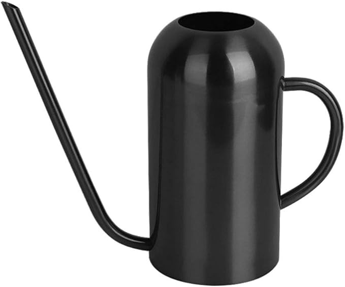 Watering Can Indoor Plants, 50 oz/1500 ml Metal Stainless Steel Watering Can Pot with Long Spout ... | Amazon (US)