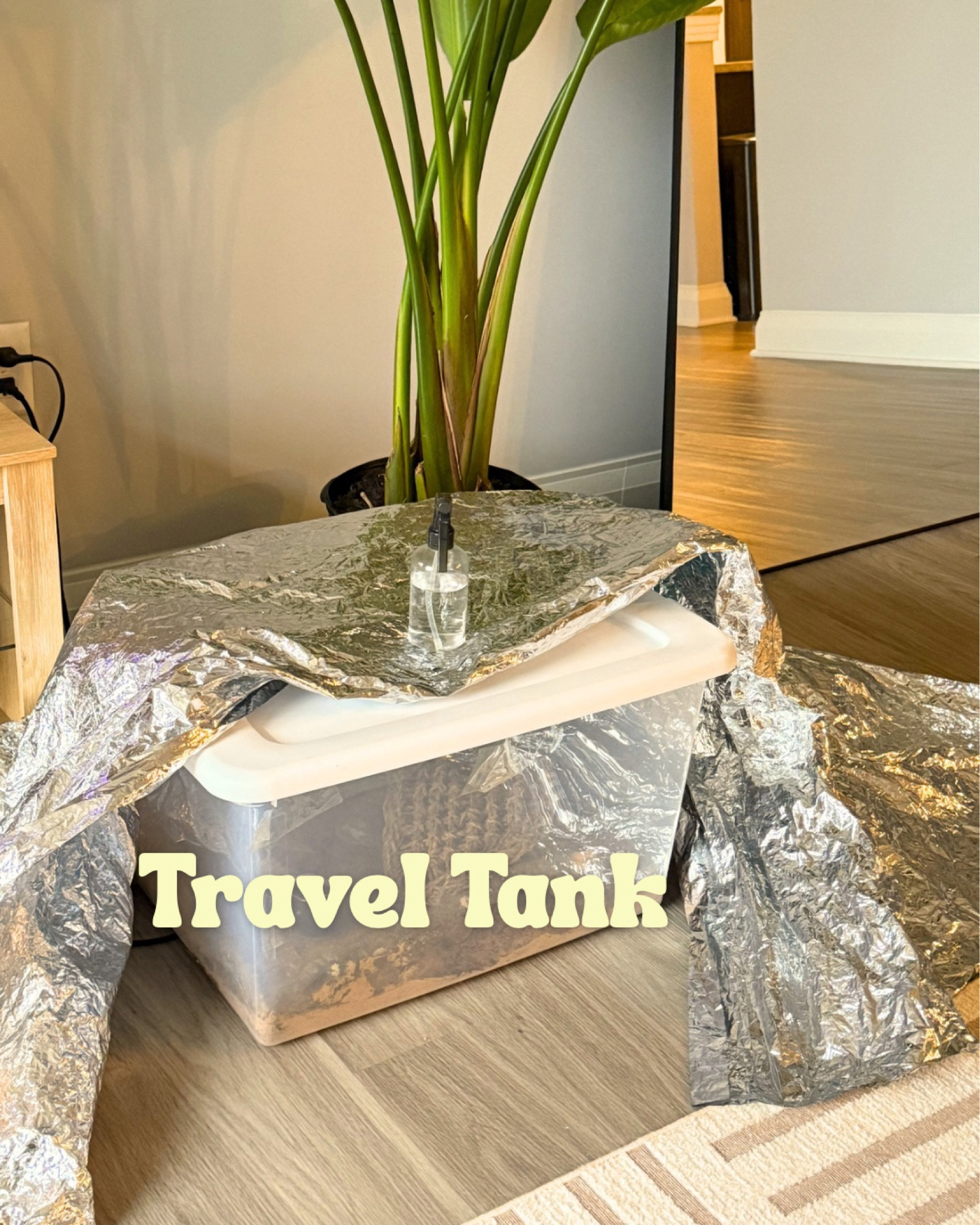 Hermit crab travel tank supplies 