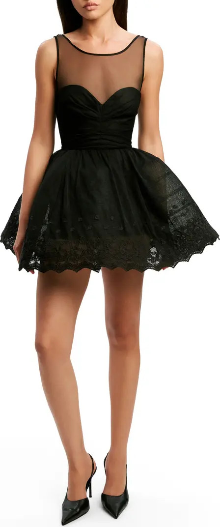 Bardot Hilda Embroidered Tulle Hoop Minidress | Nordstrom | Nordstrom