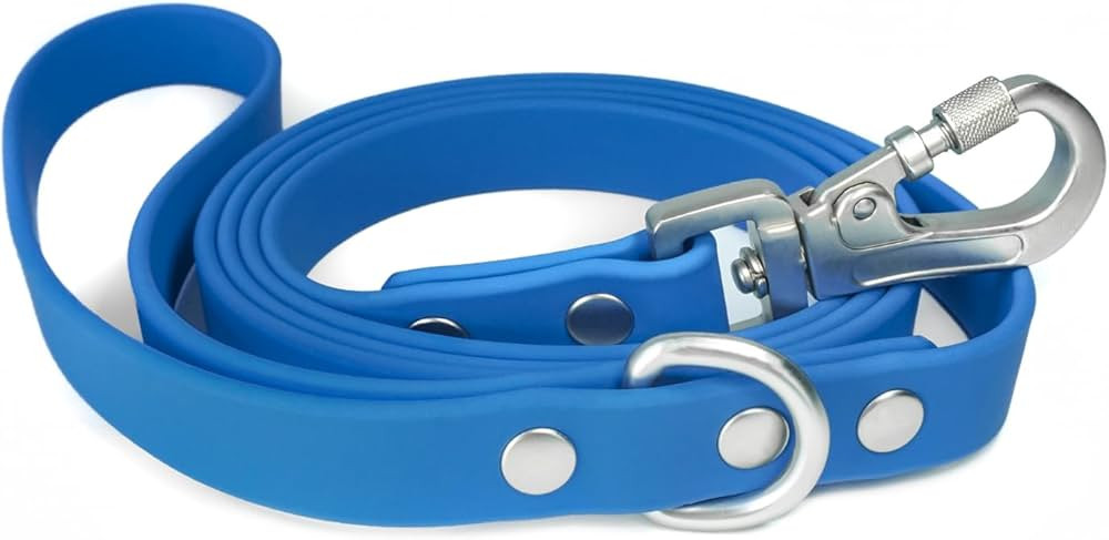 DJANGO Tahoe Waterproof Dog Leash – Durable, Comfortable, and Easy-to-Clean Waterproof Leash wi... | Amazon (US)