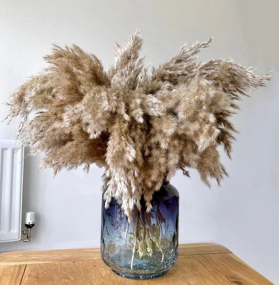 Read the full title
    Extra Fluffy Pampas Grass | 55cm Natural Colour | Dried Flowers | Brown P... | Etsy (UK)