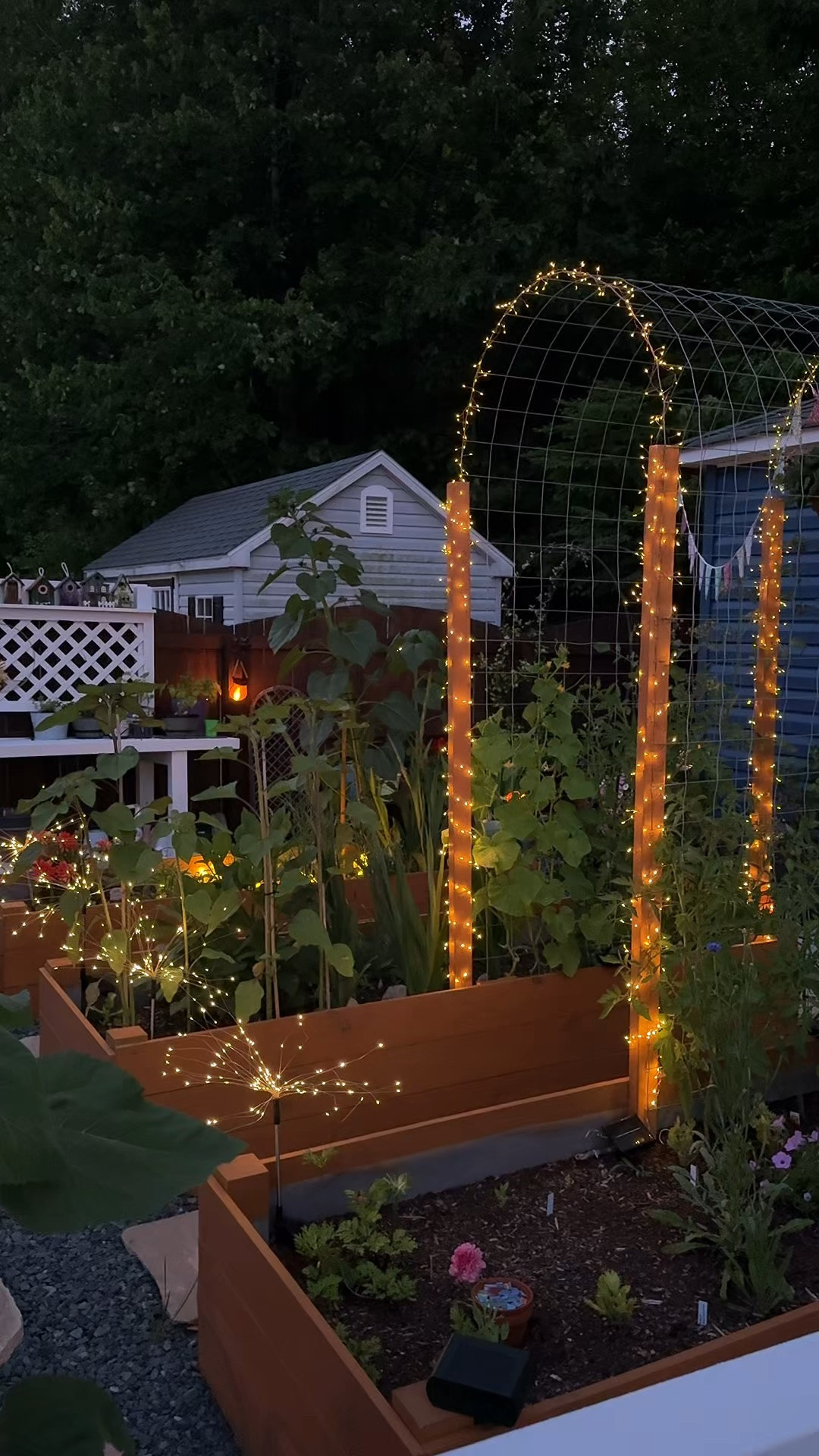 The garden comes to life at night 🌌✨

#LTKSeasonal #LTKHome