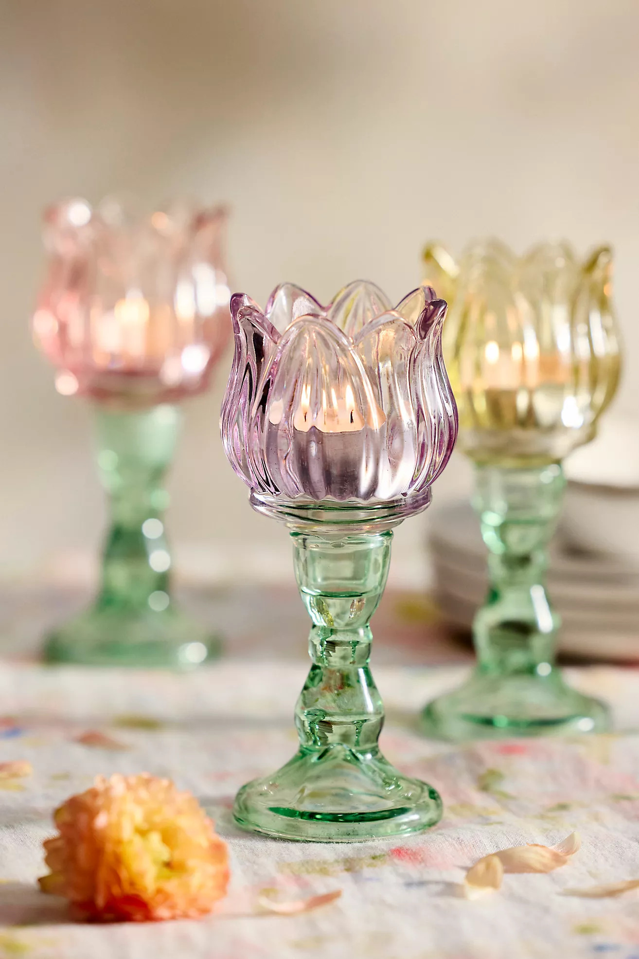 $20.00 | Anthropologie (US)