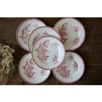 Set Of 6 Red Pink Transferware Plates From St Amand Margot, French Dessert Antique Ironstone Plate, Terre De Fer | Etsy (US)