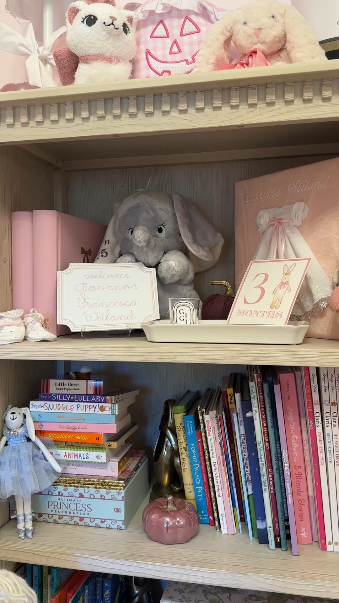 Baby girl bookshelf details! 

Baby girl room / baby girl nursery / nursery decor / baby girl nursery decor / baby girl room inspo / baby girl room / toddler girl room / toddler girl room inspo / baby book shelf / kids book shelf / kids decor 