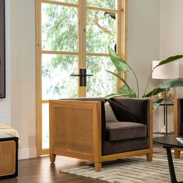 Celsa Velvet Armchair | Wayfair North America