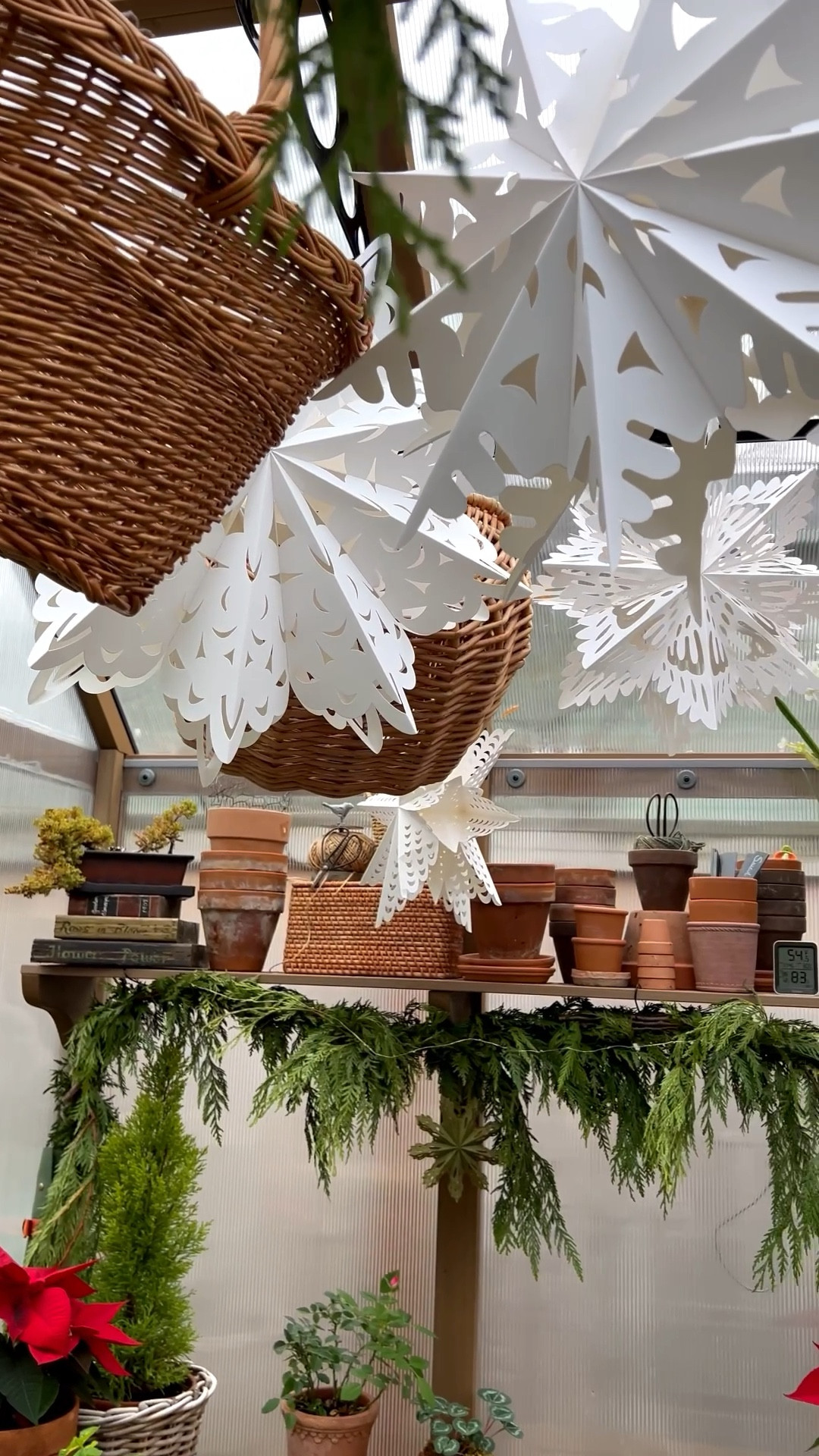 Just adding a little more magic❄️

#LTKOver40 #LTKSeasonal #LTKHoliday