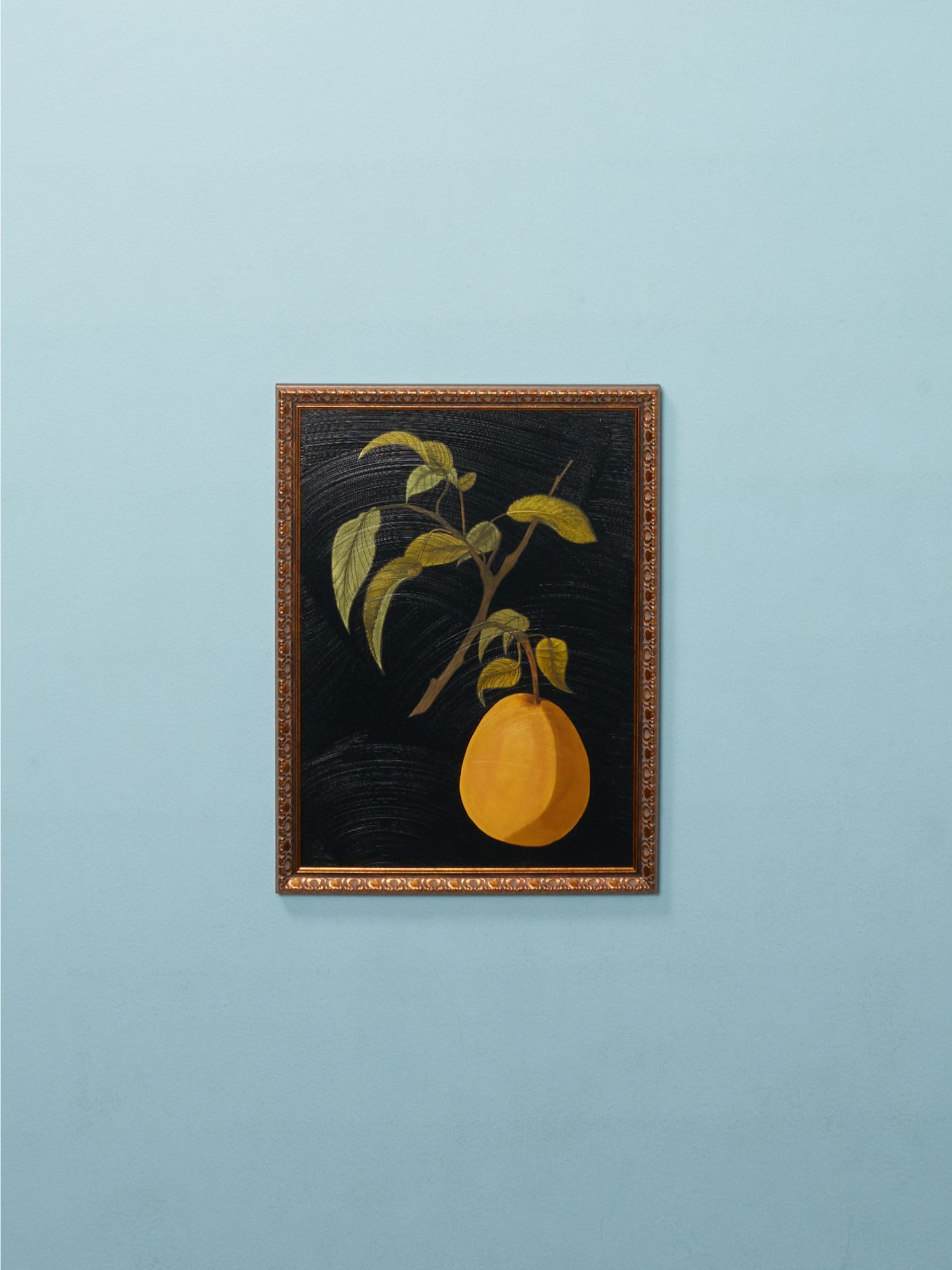 18x24 Citrus Botanical Framed Wall Art | Living Room | HomeGoods | HomeGoods