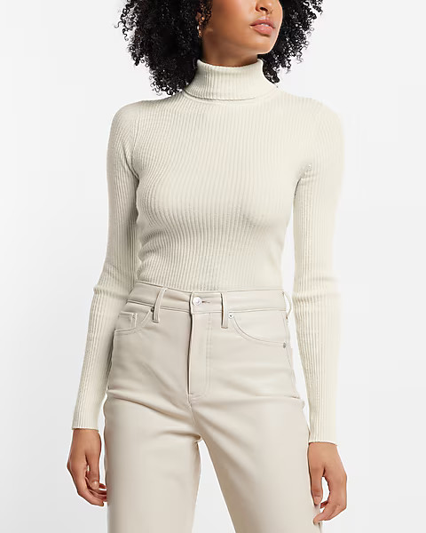 Fitted Ribbed Turtleneck Sweater | Express