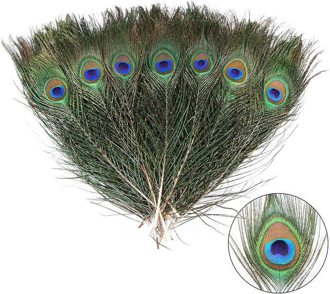 THARAHT 12pcs Peacock Feather Natural in Bulk 10-12 inch 25-30cm Small EyeFor Craft Vase Wedding ... | Amazon (US)