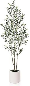 Artificial Olive Trees, 6 ft Tall Fake Olive Trees for Indoor, Faux Olive Silk Tree, Large Olive ... | Amazon (US)