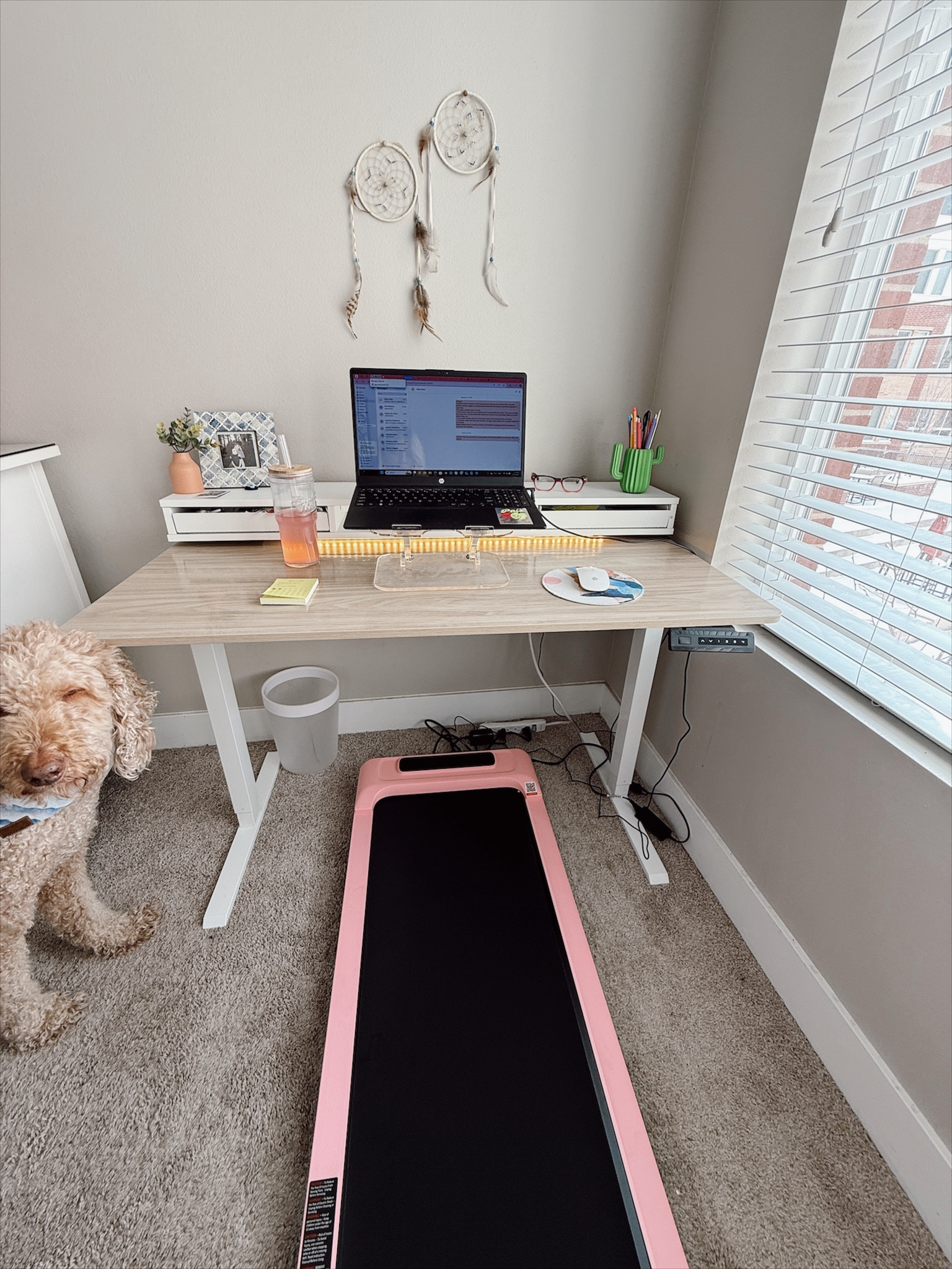 My wfh set up! Standing desk and walking pad changed my lifeeeee 🩷 easily get 2 miles in during a 1 hr meeting. Gives me time back in my day - best purchase ever ! #standingdesk #walkingpad #wfh #workfromhome #remotework #steps #fitness #movement 

#LTKActive #LTKHome