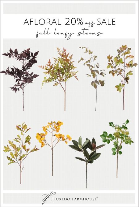 AFloral 20% off fall preview sale. 

Faux florals, fall florals, fall stems, fall decor, home decor  

#LTKhome #LTKsalealert #LTKSeasonal