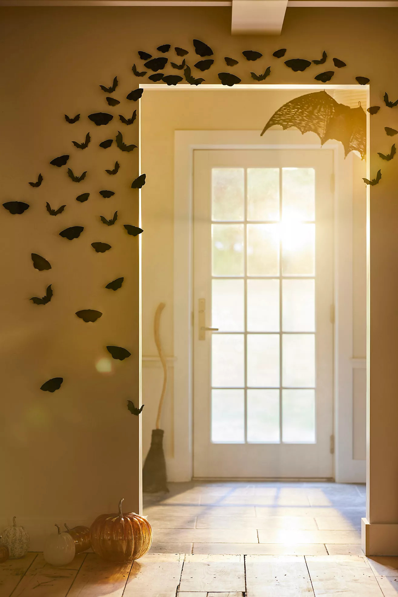 Iron Moth Eclipse, Set of 18 | Anthropologie (US)