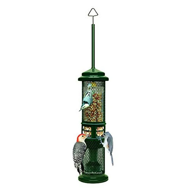Squirrel Buster Nut Feeder Squirrel-Proof Bird Feeder for Nuts and Fruit, Two Meshes | Walmart (US)