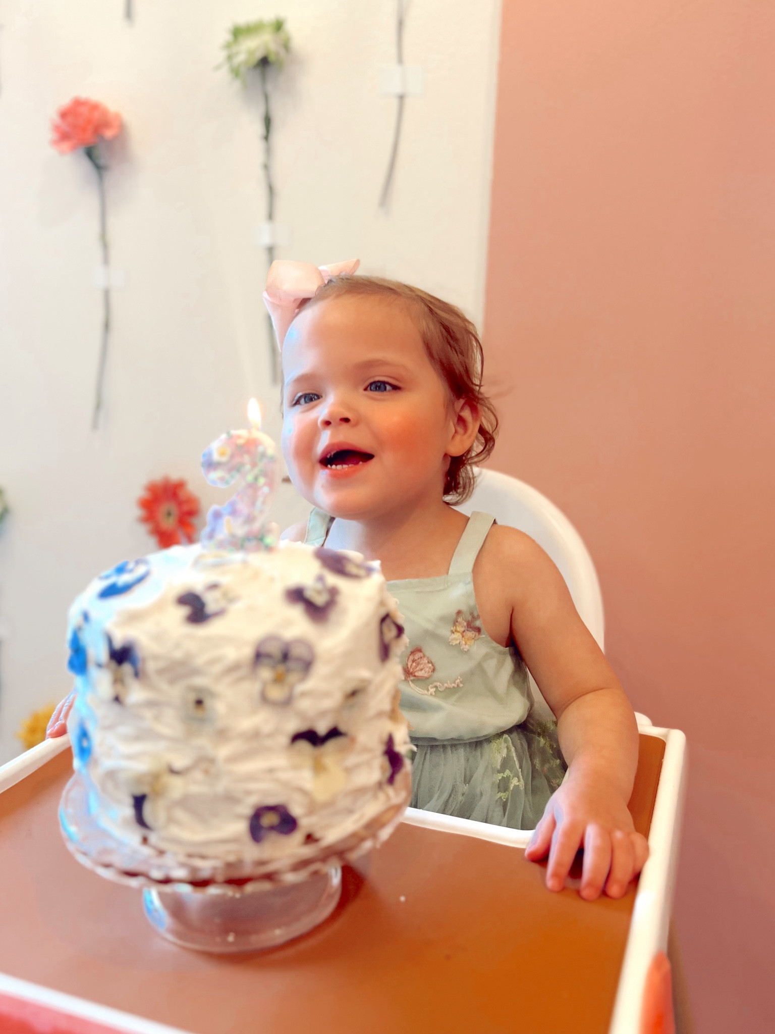 Number candles
Edible flowers
Yeah baby goods
Girl birthday
Amazon finds


#LTKParties #LTKKids