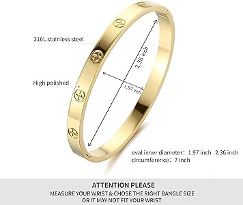 YCSLYW Women's Stainless Steel Bracelet Jewelry Crystal Bracelet With Cube Zircon Hinge Jewelry o... | Amazon (US)