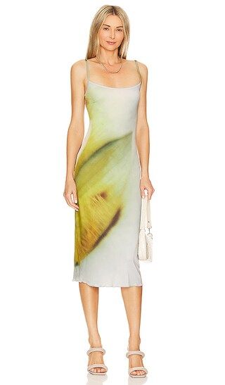 Pelia Dress in Lily | Revolve Clothing (Global)