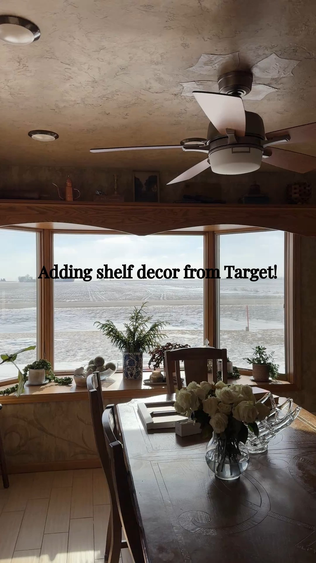 Adding some decor to our kitchen shelves from Target!

#LTKSeasonal #LTKHome