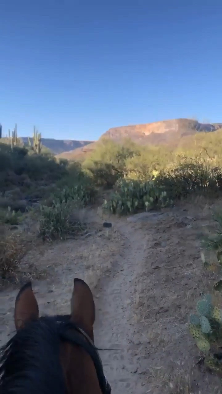 Sedona Arizona spring break essentials 🏜️🌵 swim wear, hiking gear, horse back riding, date night outfits

#LTKPets #LTKSwim #LTKTravel