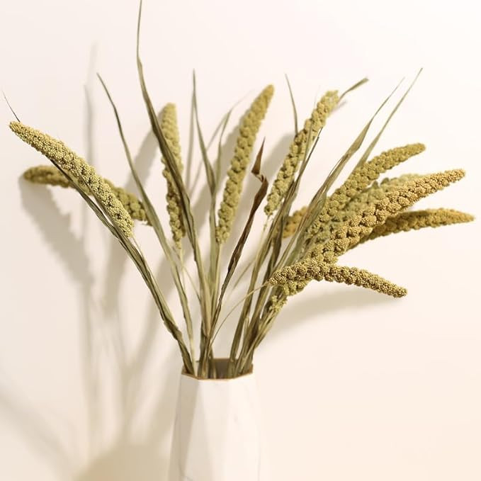17 Inch Dried Millet Stems, 20 Piece Dried Wheat Grass, Bulk Floral Arrangement Wheat Stalks Bund... | Amazon (US)