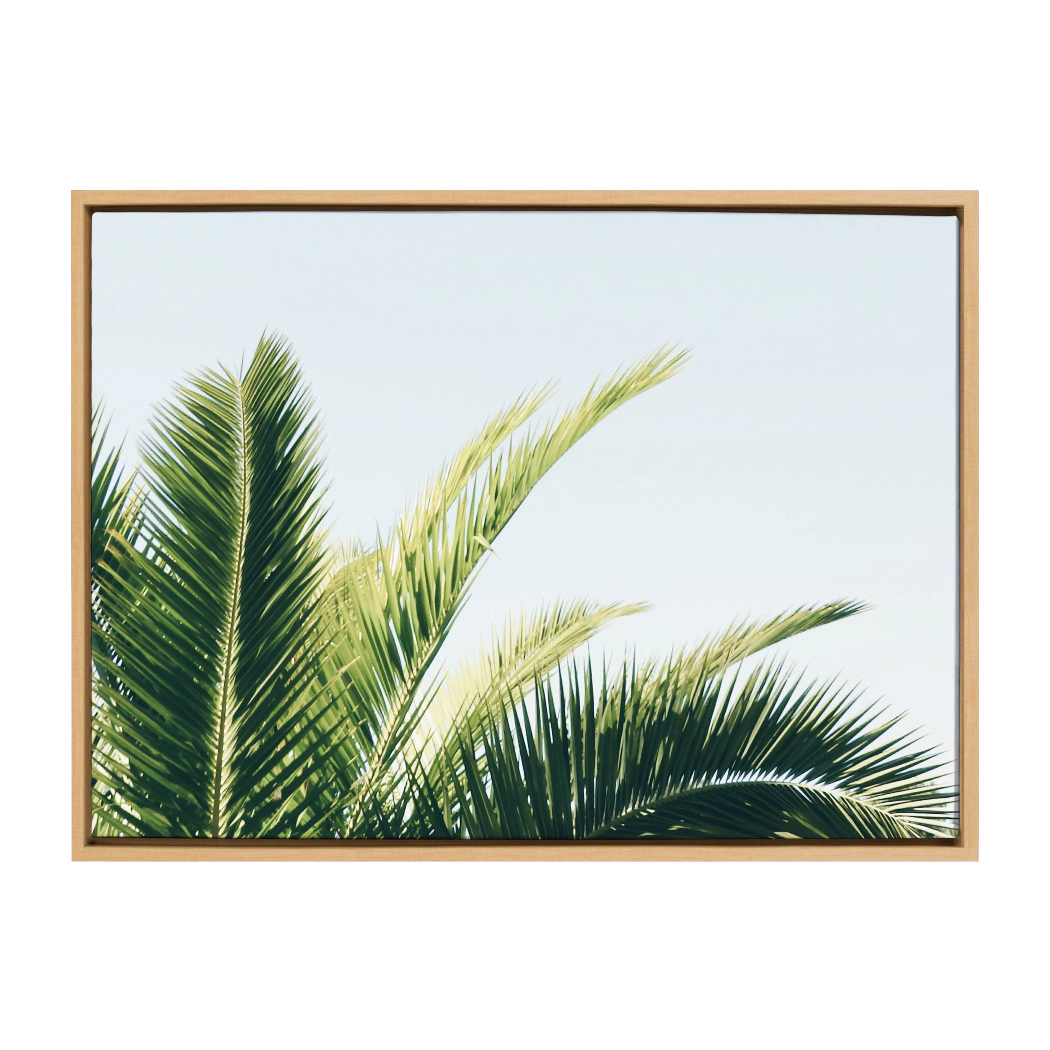 Kate and Laurel Sylvie Tropical Palm Under Blue Sky Framed Canvas Wall Art, 23x33 Natural, Calmin... | Walmart (US)