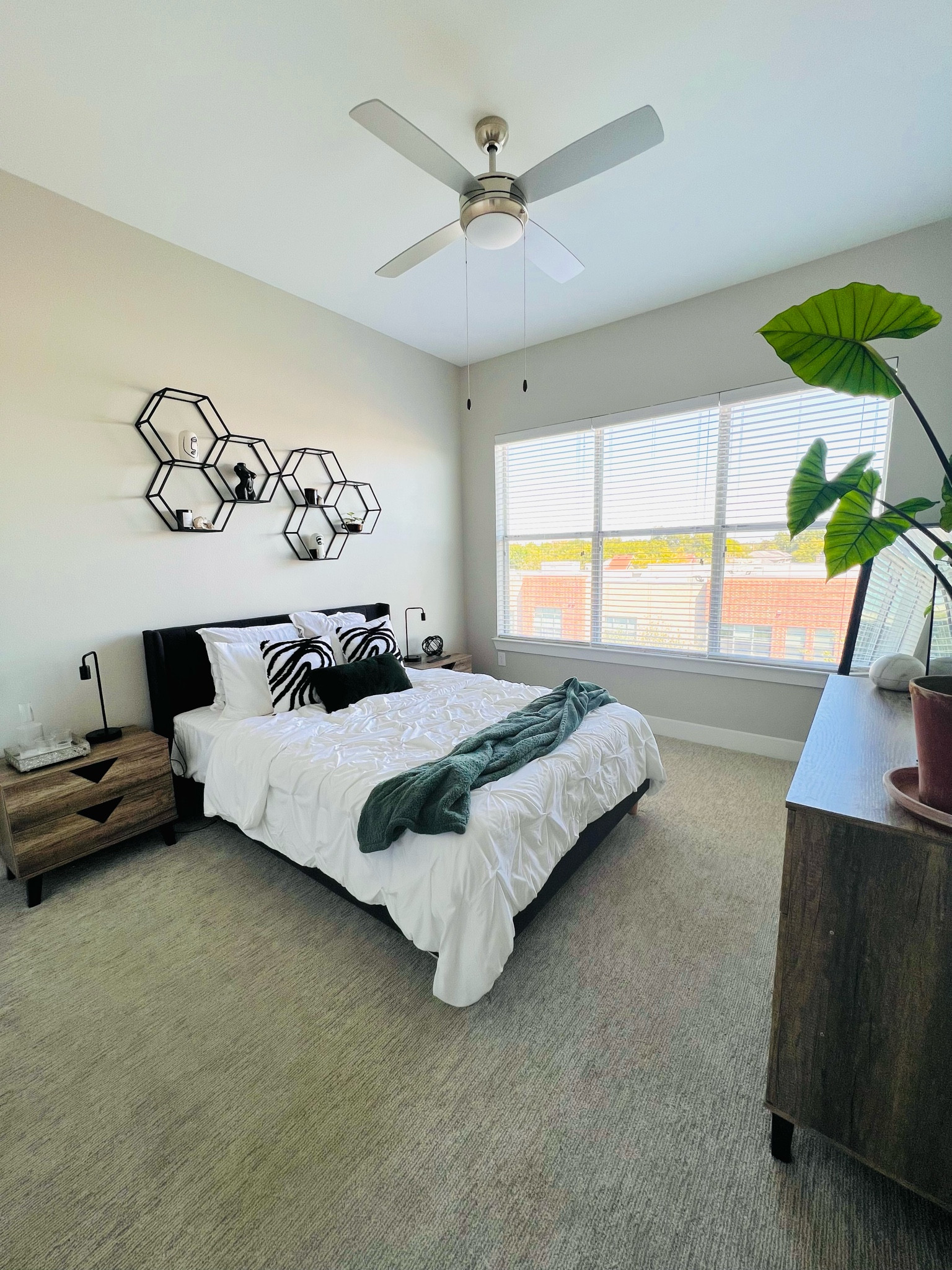 Get cozy in this green, breathable space. I DIY spray painted my shelves from gold to matte black for a new look in my new space! Thoughts?

#LTKsalealert #LTKGiftGuide #LTKhome