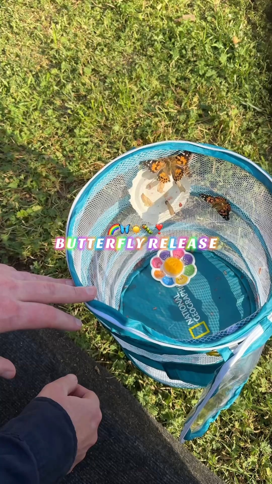 On sale!!! The most fun!!! 

#LTKGiftGuide #LTKSaleAlert #LTKKids