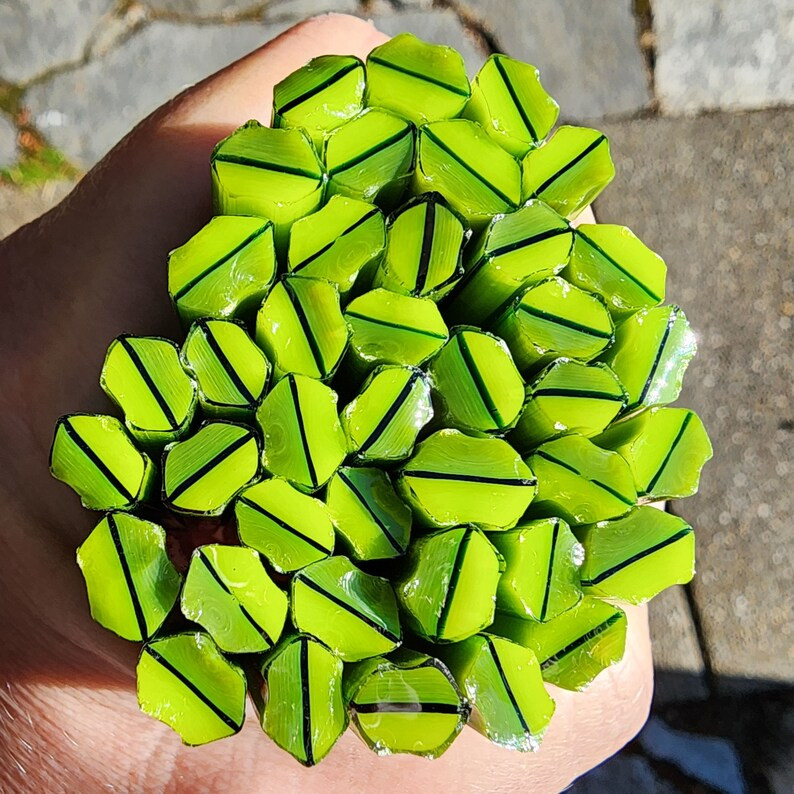 Coe 90 Holiday: Merry Holly 1 Oz Murrini Murrine Millefiori Vitrigraph Cane MINZABELLA MURRINI by... | Etsy (US)