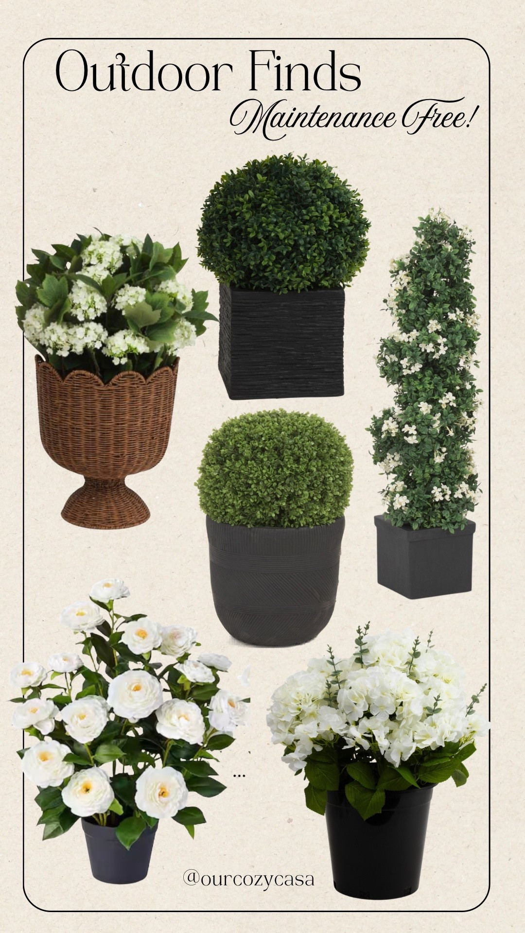 Brown thumb? Or just don’t want to water…These are for you! 


#LTKSeasonal #LTKHome #LTKSaleAlert