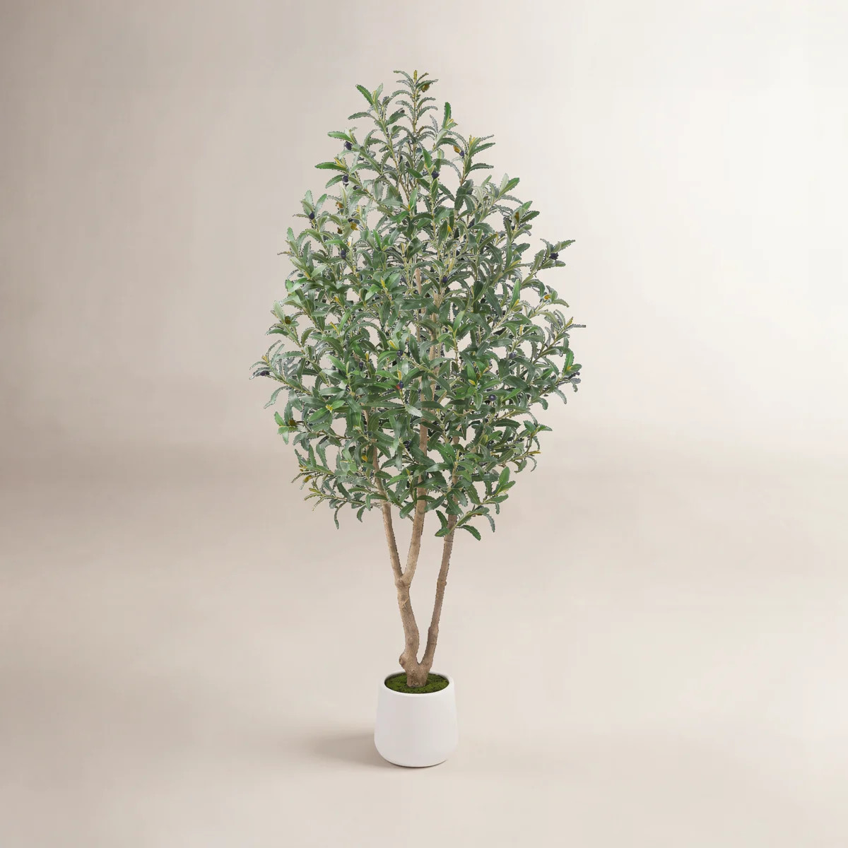 Adcock 6Ft Artificial Olive Tree In White Pot, Faux Silk Floor Plant With Realistic Olives & Lush... | Wayfair North America
