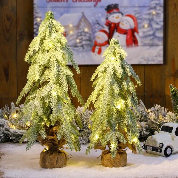 2 Piece Lighted Frosted Table Tree Set | Wayfair Professional