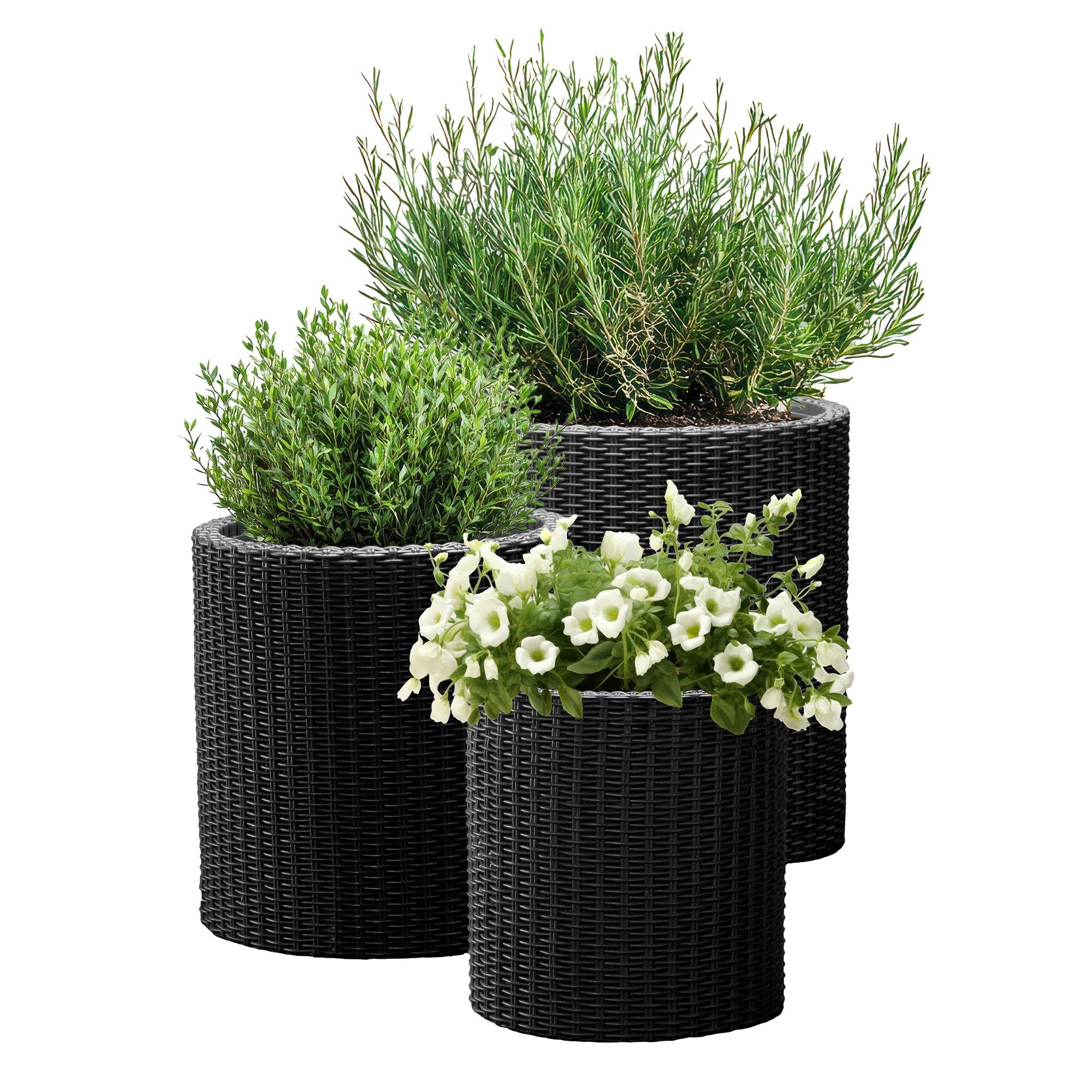 Keter Cylinder Set of 3 Rattan Resin Planter for Indoor and Outdoor Plants Ideal Decorative Plant... | Amazon (US)